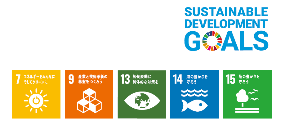 SDGs